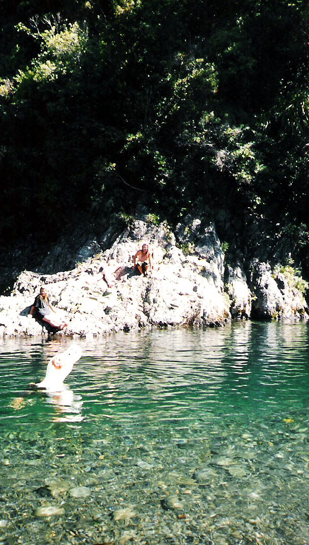 bonnevicci swimming in new zealand